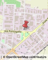 Autofficine, Autolavaggi e Gommisti - Attrezzature Villafranca di Verona,37069Verona