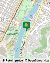Giochi per Giardini e Parchi,10133Torino