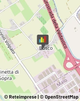 ,36035Vicenza