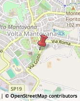 ,46049Mantova