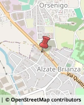 Carte da Gioco Alzate Brianza,22040Como