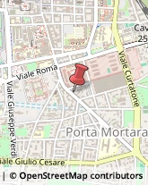 Articoli per Ortopedia Novara,28100Novara