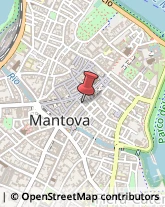 Borse - Dettaglio Mantova,46100Mantova