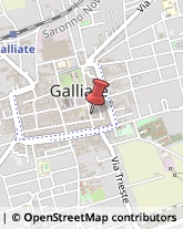 Bulbi e Sementi Galliate,28066Novara