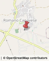 Autotrasporti Romano Canavese,10090Torino