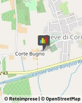 Lavori Agricoli e Forestali Pieve di Coriano,46020Mantova