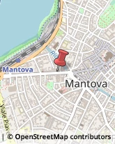 Traduttori ed Interpreti Mantova,46100Mantova