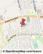 Cristalli e Vetri per Veicoli - Riparazione e Sostituzione Galliera Veneta,35015Padova