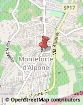 Autotrasporti Monteforte d'Alpone,37032Verona