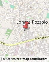 Miele Lonate Pozzolo,21015Varese