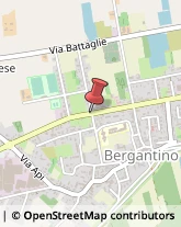 Asili Nido Bergantino,45032Rovigo