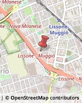 Salotti Lissone,20851Monza e Brianza