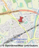 Agopuntura Portogruaro,30026Venezia
