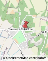 Agenti e Rappresentanti di Commercio Miradolo Terme,27010Pavia