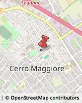 Omeopatia Cerro Maggiore,20023Milano