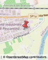 Giornali, Riviste e Libri - Distribuzione Pescantina,37026Verona