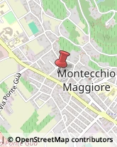 Scuole e Corsi di Lingua Montecchio Maggiore,36075Vicenza