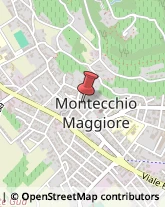 Istituti Finanziari Montecchio Maggiore,36075Vicenza