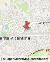 Animali Domestici - Vendita Noventa Vicentina,36025Vicenza