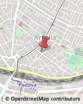 Articoli per Ortopedia Padova,35132Padova