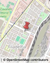 Setacci, Vagli e Crivelli Torino,10134Torino