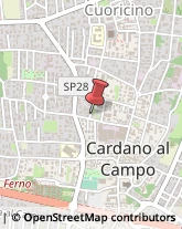 Artigianato Tipico Cardano al Campo,21012Varese