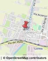 Informazioni Commerciali Loreo,45017Rovigo