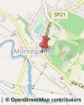 Agenzie Immobiliari Montegalda,36047Vicenza