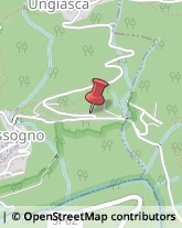 Pollame, Conigli e Selvaggina - Ingrosso,28801Verbano-Cusio-Ossola