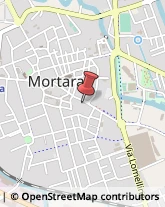 Articoli per Ortopedia Mortara,27036Pavia