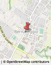 Parafarmacie Bernareggio,20881Monza e Brianza