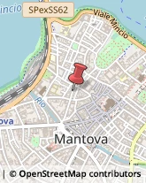 Pelliccerie Mantova,46100Mantova