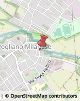 Consulenza Commerciale Pogliano Milanese,20010Milano