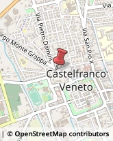 Tartufi e Funghi Castelfranco Veneto,31033Treviso