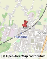 Acquacoltura Rosolina,30015Rovigo