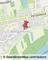 Geometri Bergantino,45032Rovigo