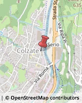 Demolizioni e Scavi Colzate,24020Bergamo