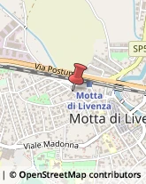 Articoli da Regalo - Dettaglio Motta di Livenza,31045Treviso