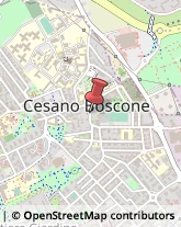Pizzerie Cesano Boscone,20090Milano