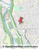 Maglieria - Produzione Gorla Maggiore,21050Varese