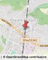 Porte Olgiate Molgora,23887Lecco