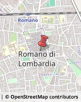 Osteopatia Romano di Lombardia,24058Bergamo