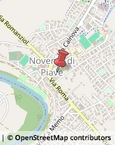 Veterinaria - Ambulatori e Laboratori Noventa di Piave,30020Venezia