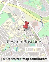 Case di Riposo e Istituti di Ricovero per Anziani Cesano Boscone,20090Milano