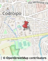 Asili Nido Codroipo,33033Udine