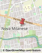 Autobus, Minibus e Filobus Nova Milanese,20834Monza e Brianza