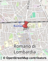 Articoli Sportivi - Dettaglio Romano di Lombardia,24058Bergamo