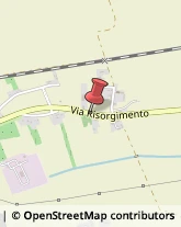 Aziende Agricole Rovigo,45100Rovigo