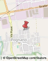 Autotrasporti Pognano,24040Bergamo
