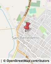 Istituti di Bellezza San Benedetto Po,46027Mantova